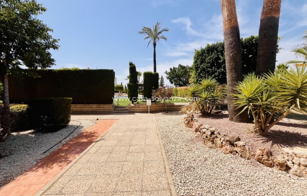 Resale - Apartment / flat - Villamartin - Costa Blanca