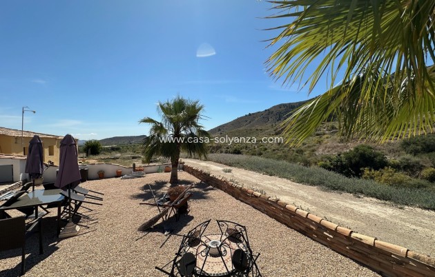 Resale - Country Property/Finca - La Pinilla - Inland