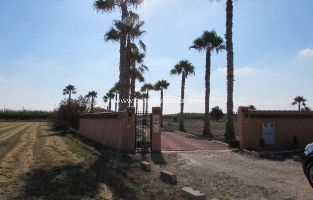 Resale - Country Property/Finca - Dolores - Comunidad Valenciana