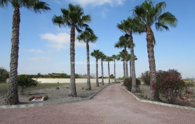 Resale - Country Property/Finca - Dolores - Comunidad Valenciana
