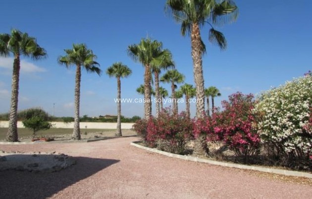 Resale - Country Property/Finca - Dolores - Comunidad Valenciana