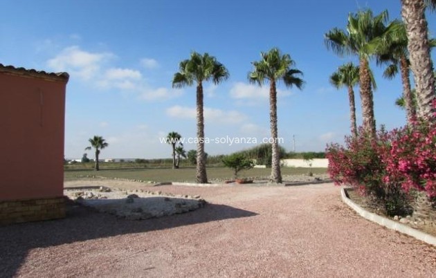 Resale - Country Property/Finca - Dolores - Comunidad Valenciana