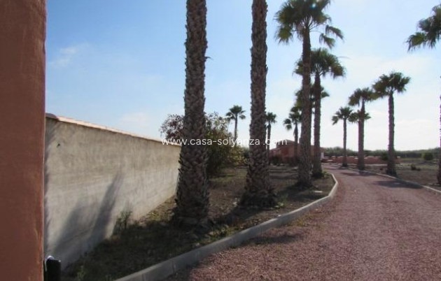 Resale - Country Property/Finca - Dolores - Comunidad Valenciana