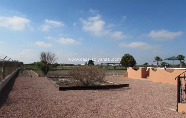 Resale - Country Property/Finca - Dolores - Comunidad Valenciana