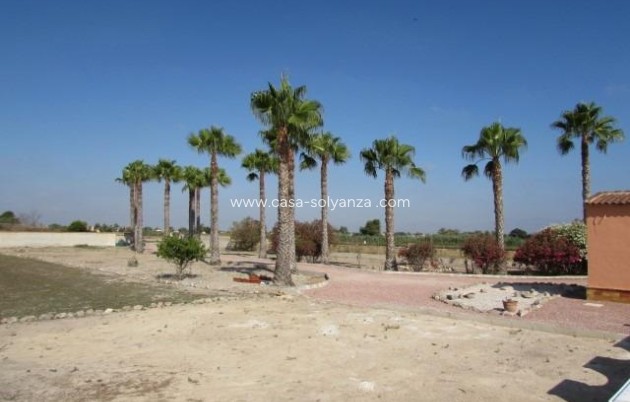 Resale - Country Property/Finca - Dolores - Comunidad Valenciana