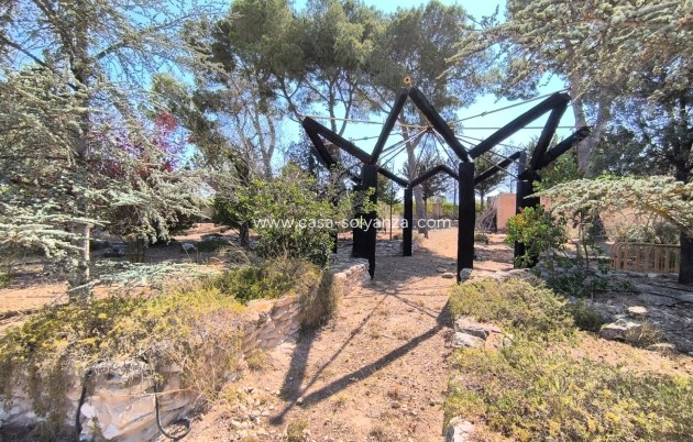 Resale - Country Property/Finca - Villena - Inland