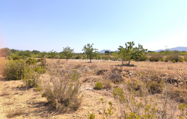 Resale - Country Property/Finca - Villena - Inland