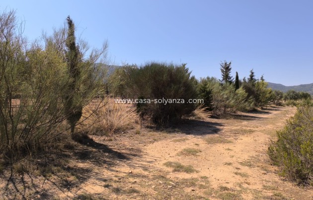 Resale - Country Property/Finca - Villena - Inland