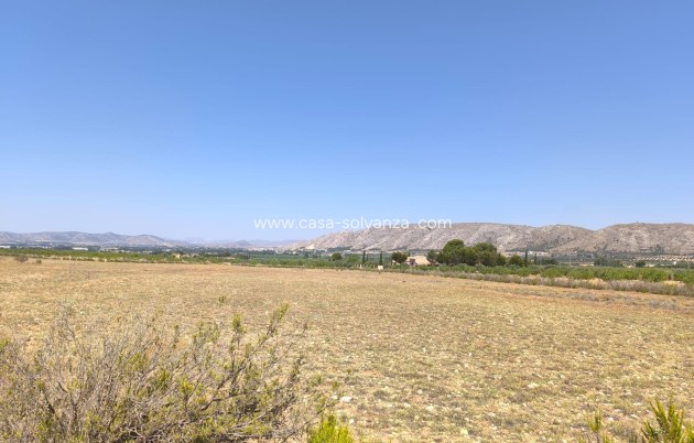 Resale - Country Property/Finca - Villena - Inland