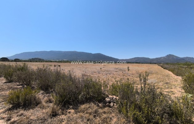 Resale - Country Property/Finca - Villena - Inland