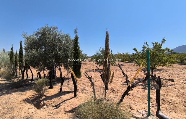 Resale - Country Property/Finca - Villena - Inland
