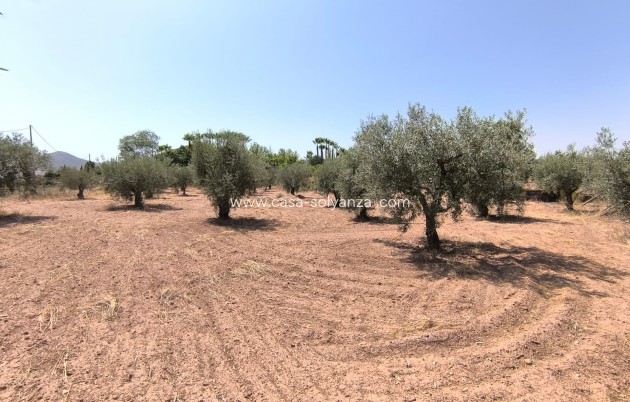 Reventa - Villa - Jumilla - Inland