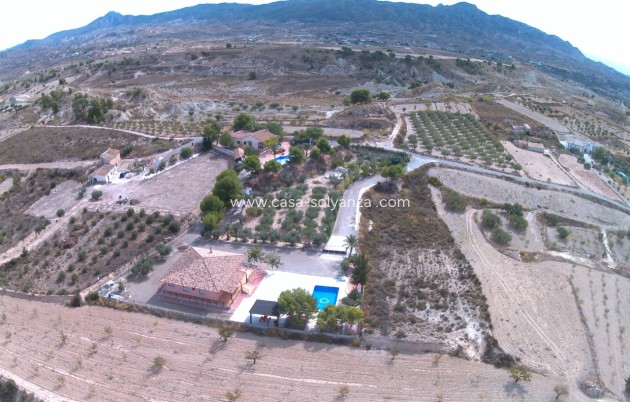 Resale - Villa - Abanilla - Inland