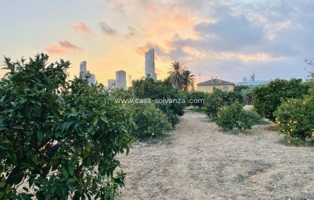 Resale - Villa - Benidorm - Salto Del Agua