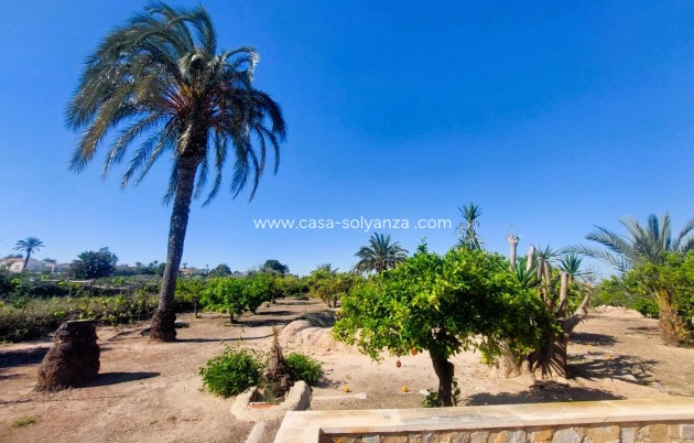 Resale - Country Property/Finca - La Marina - Costa Blanca
