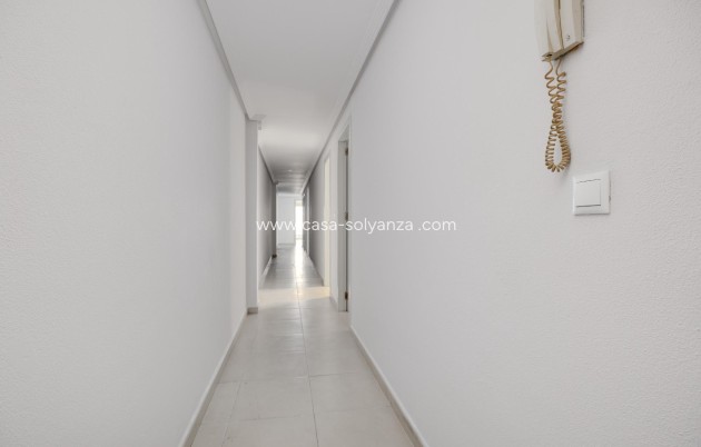 Resale - Apartment / flat - Torrevieja - Estacion Autobuses