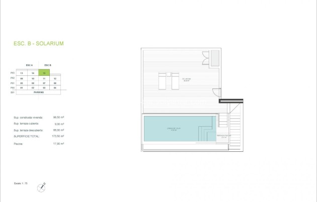 New Build - Apartment / flat - Orihuela - Las Colinas Golf Resort
