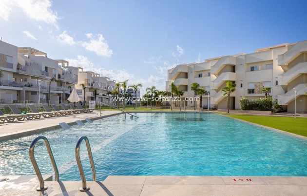 Resale - Apartment / flat - Guardamar del Segura - Costa Blanca