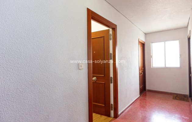 Resale - Studio - Torrevieja - Beach