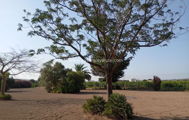 Resale - Villa - Daya Nueva - Costa Blanca