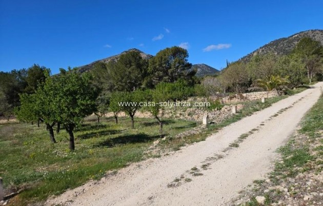 Resale - Villa - Monóvar - Comunidad Valenciana