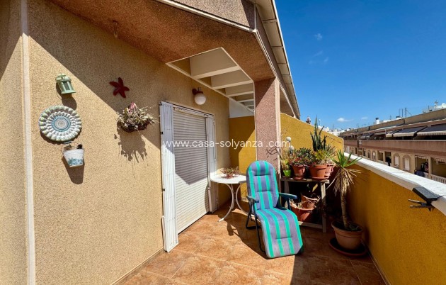 Resale - Apartment / flat - Torrevieja - Costa Blanca