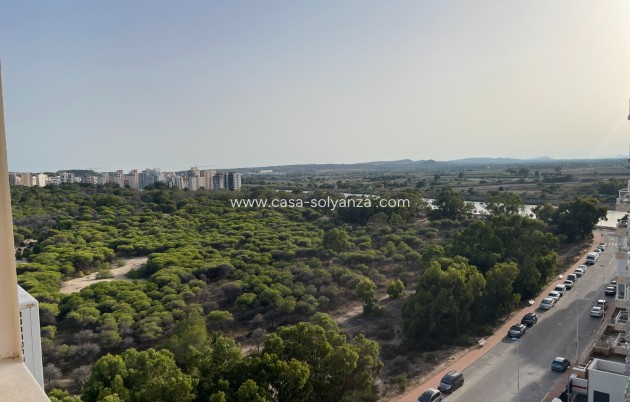 Reventa - Apartamento / piso - Guardamar del Segura - Costa Blanca