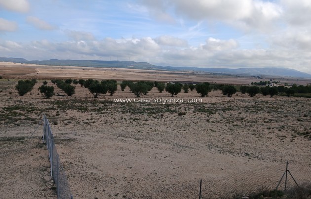 Resale - Land - Yecla - Inland