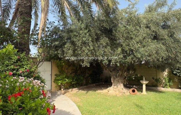 Resale - Villa - Orihuela Costa - Punta Prima