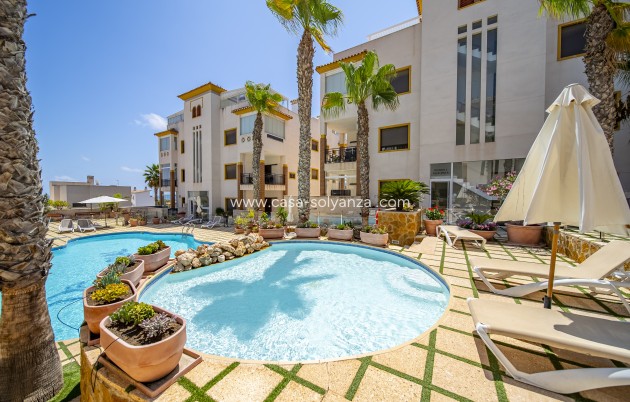 Resale - Apartment / flat - Guardamar del Segura