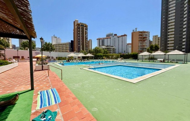 Resale - Apartment / flat - Benidorm - Playa De Levante