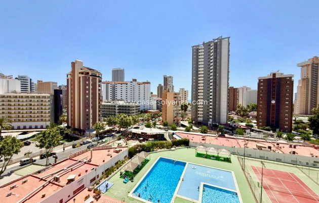 Resale - Apartment / flat - Benidorm - Playa De Levante