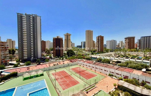 Resale - Apartment / flat - Benidorm - Playa De Levante