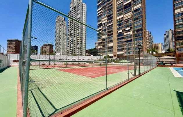 Resale - Apartment / flat - Benidorm - Playa De Levante