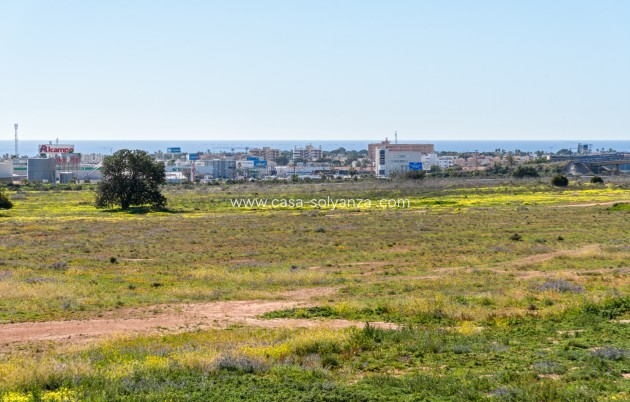 Revente - Appartement - Orihuela Costa - El Barranco