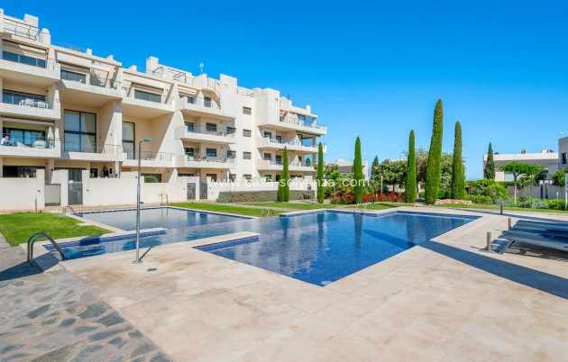 Herverkoop - Appartement / flat - Los Dolses