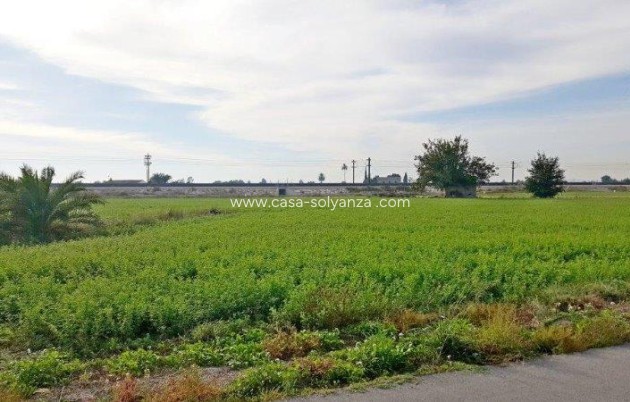 Wiederverkauf - Country Property/Finca - Callosa De Segura