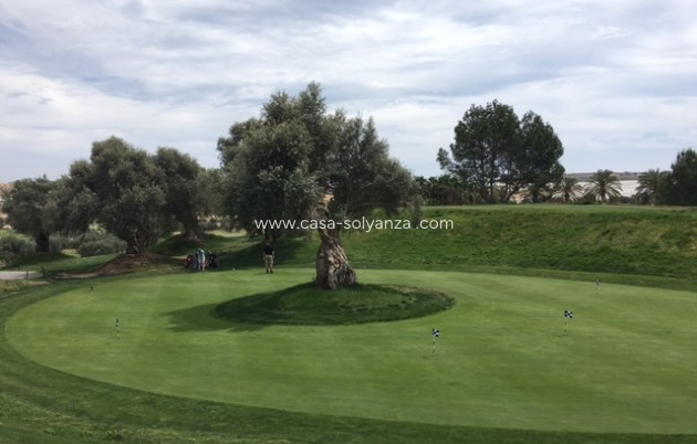 Nieuwbouw Woningen - Villa - Algorfa