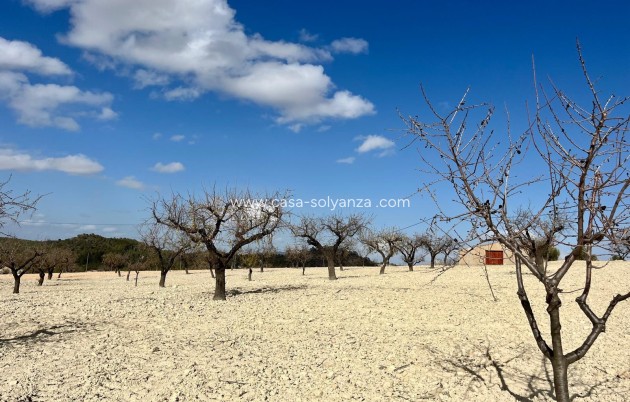 Revente - Land - Bullas - Costa Calida
