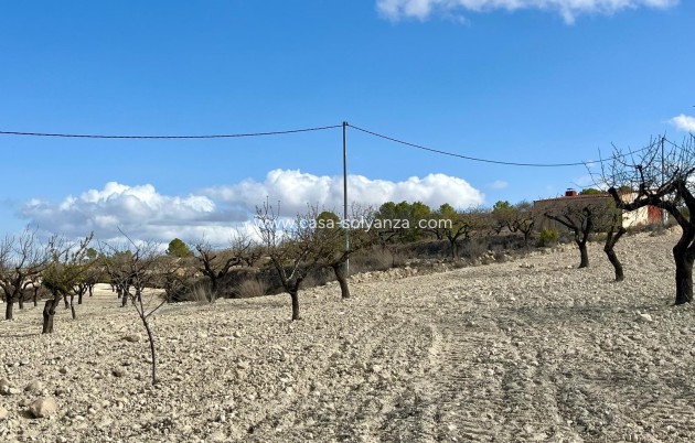 Revente - Land - Bullas - Costa Calida