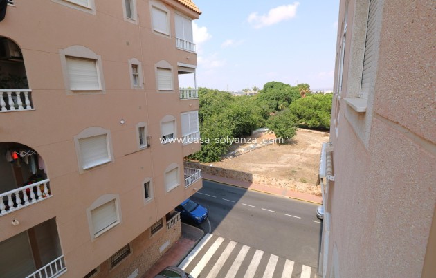Wiederverkauf - Wohnung - Torrevieja - Acequion