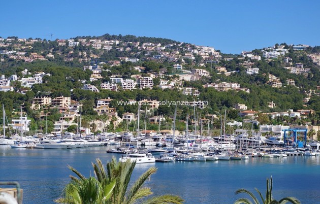 Revente - Appartement - Port d'Andratx - Andratx