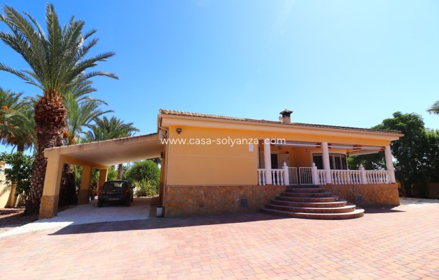 Revente - Country Property/Finca - Catral - Catral - Country