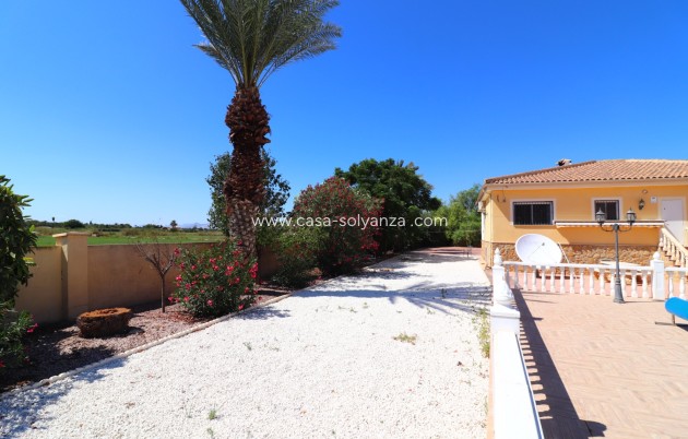 Revente - Country Property/Finca - Catral - Catral - Country