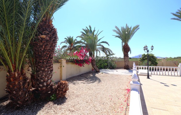 Revente - Country Property/Finca - Catral - Catral - Country