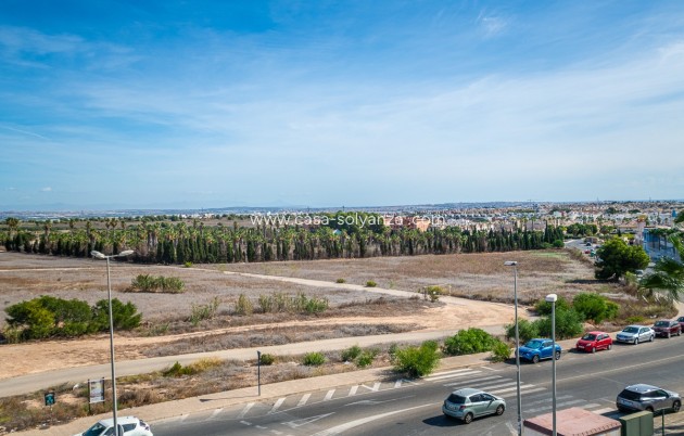 Revente - Appartement - ORIHUELA - VILLAMARTÍN