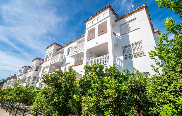 Revente - Appartement - ORIHUELA - VILLAMARTÍN