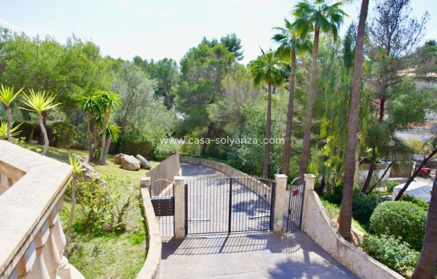 Revente - Apartment - Ground Floor - Portals Nous - Calvià