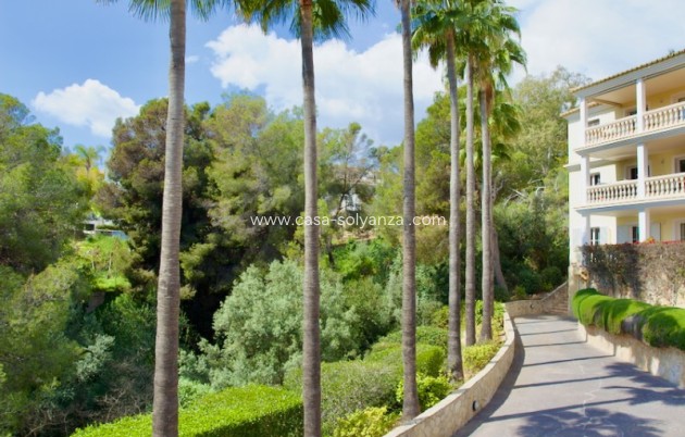 Revente - Apartment - Ground Floor - Portals Nous - Calvià