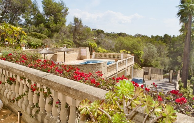 Revente - Apartment - Ground Floor - Portals Nous - Calvià